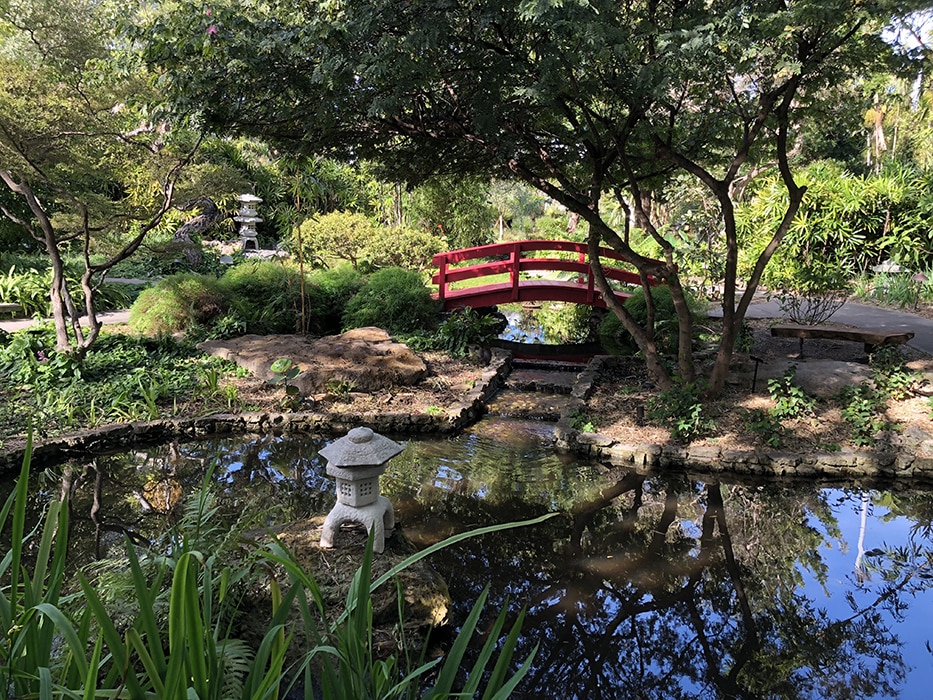 image of Miami Beach Botanical Gardens