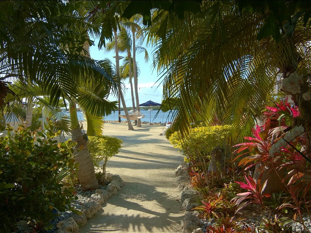 image of Coconut Palms Inn