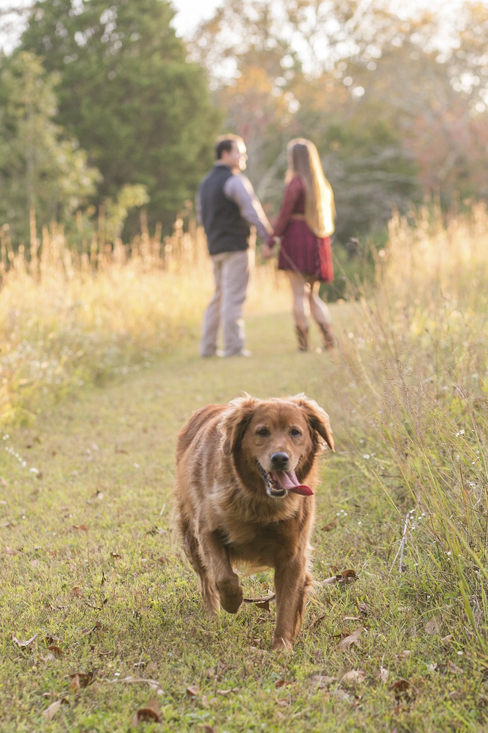 Personalize Your Engagement Session