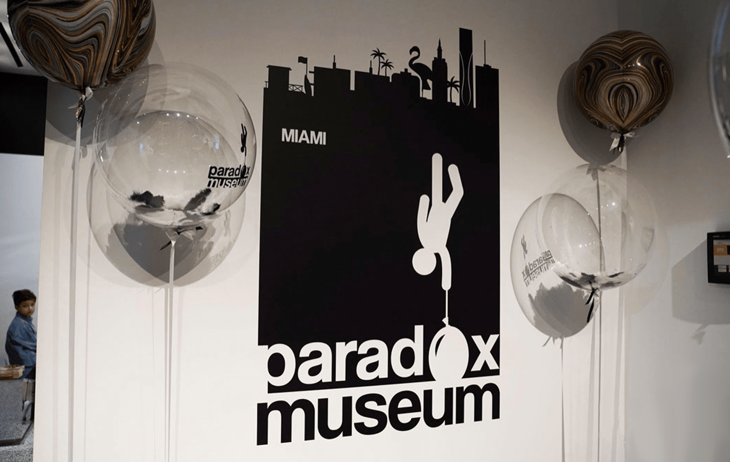image of Paradox Museum